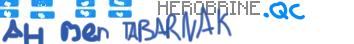 Logo Herobrine.fr